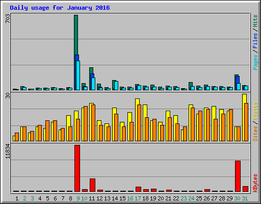 Daily usage for January 2016