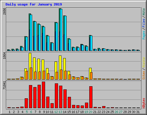 Daily usage for January 2019