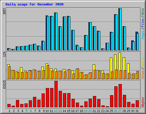 Daily usage for December 2020