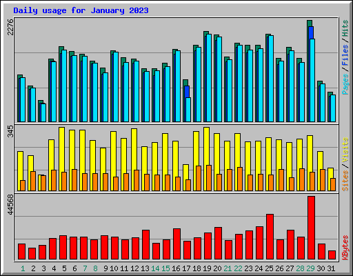 Daily usage for January 2023