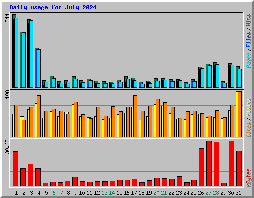 Daily usage for July 2024
