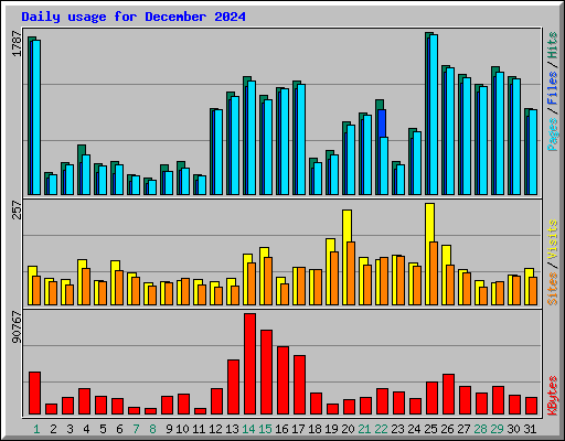 Daily usage for December 2024