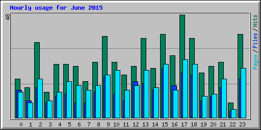 Hourly usage for June 2015