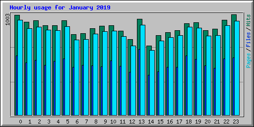 Hourly usage for January 2019