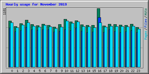 Hourly usage for November 2019
