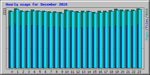 Hourly usage for December 2019
