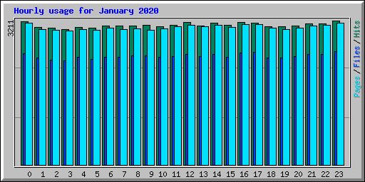 Hourly usage for January 2020