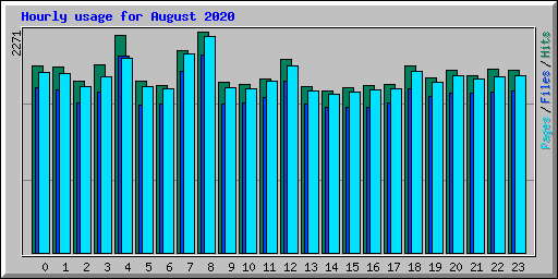 Hourly usage for August 2020