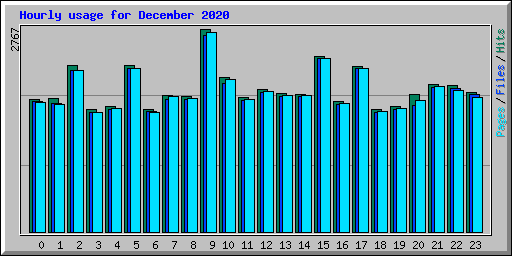 Hourly usage for December 2020