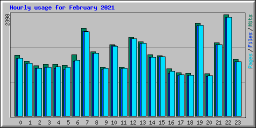 Hourly usage for February 2021