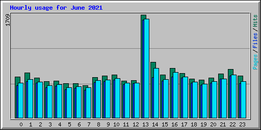 Hourly usage for June 2021