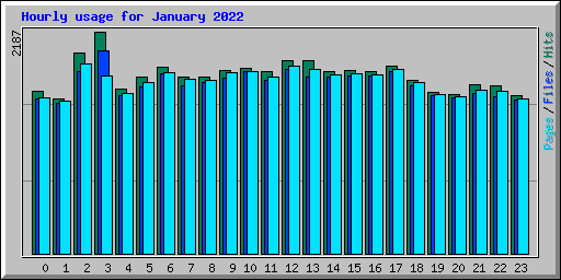 Hourly usage for January 2022