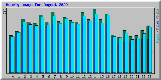 Hourly usage for August 2022