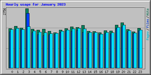 Hourly usage for January 2023