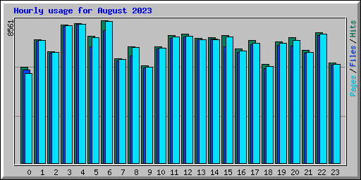 Hourly usage for August 2023