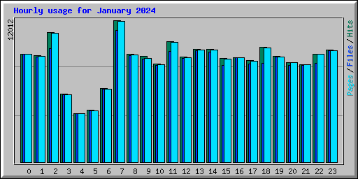 Hourly usage for January 2024