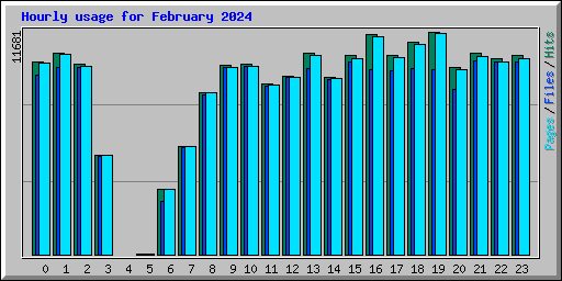 Hourly usage for February 2024