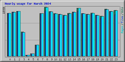 Hourly usage for March 2024