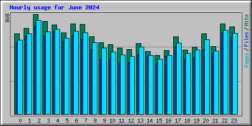 Hourly usage for June 2024