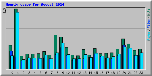 Hourly usage for August 2024