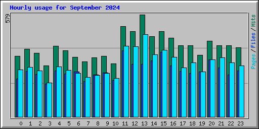 Hourly usage for September 2024
