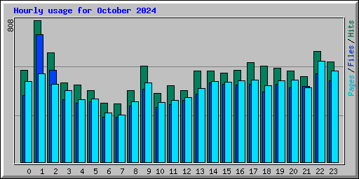 Hourly usage for October 2024
