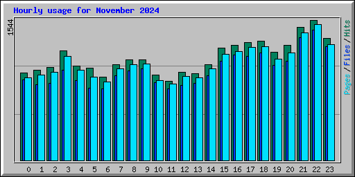 Hourly usage for November 2024