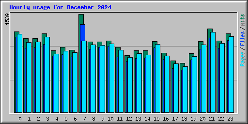 Hourly usage for December 2024