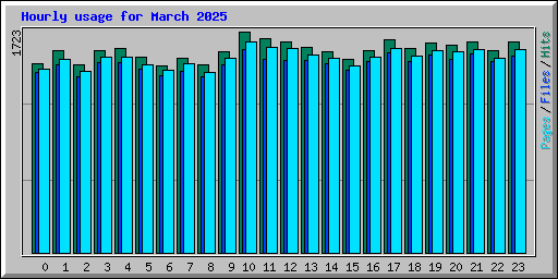 Hourly usage for March 2025
