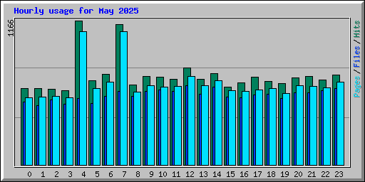 Hourly usage for May 2025