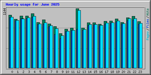 Hourly usage for June 2025