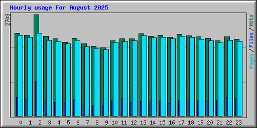 Hourly usage for August 2025