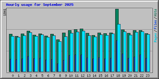 Hourly usage for September 2025