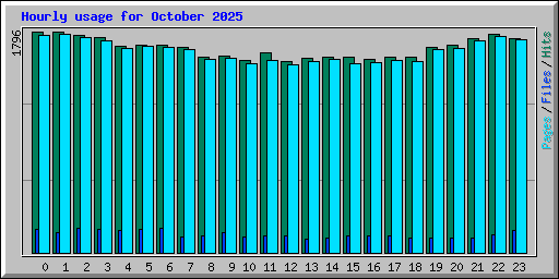 Hourly usage for October 2025