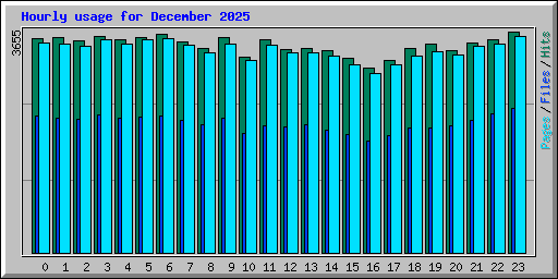 Hourly usage for December 2025