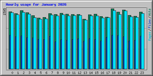 Hourly usage for January 2026