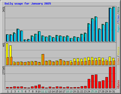 Daily usage for January 2025