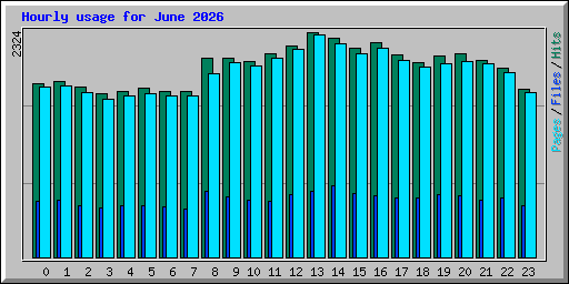 Hourly usage for June 2026